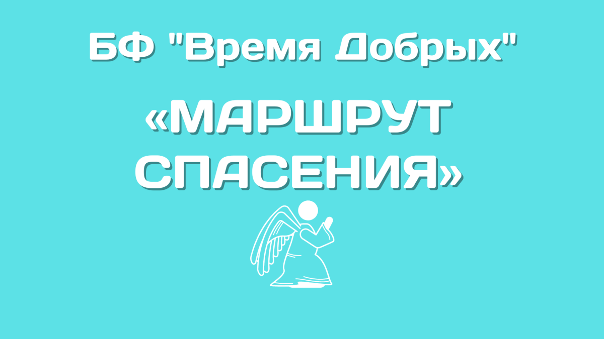 Проект нашего фонда «Маршрут спасения» получил самые высокие рецензии1712117811