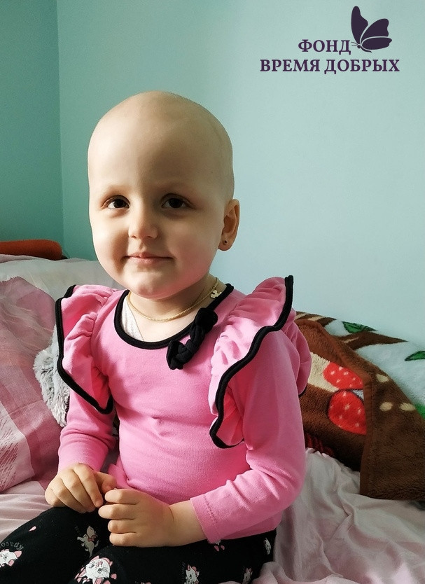 Новости Радомира Баша1591796419