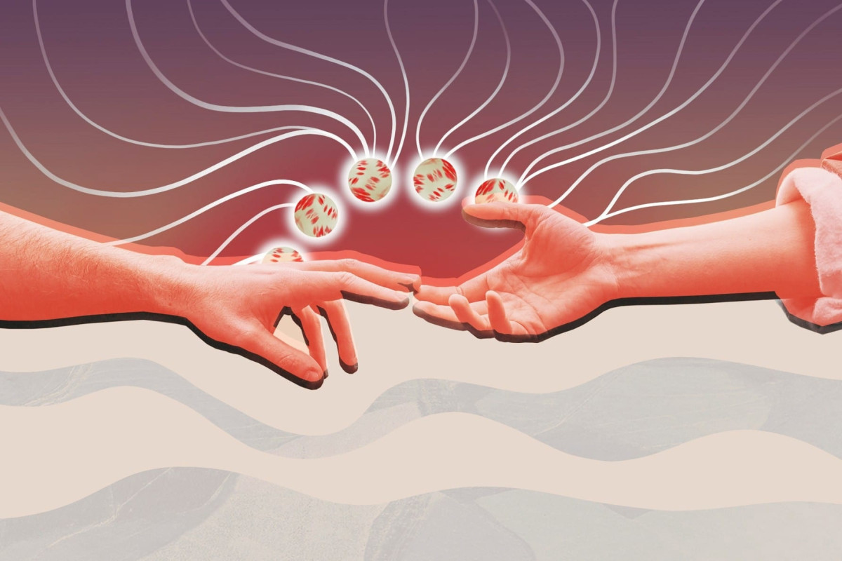 Донорство костного мозга: подарить надежду на жизнь1726825008