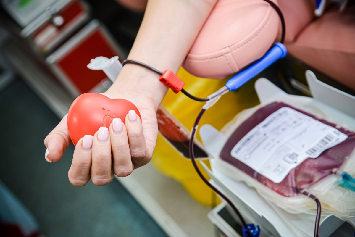 Как стать донором костного мозга: простой маршрут к спасению жизни!1726825128