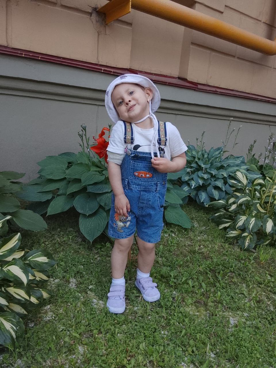 Для Ангелины Сальченко нашли донора для пересадки костного мозга!1753363394