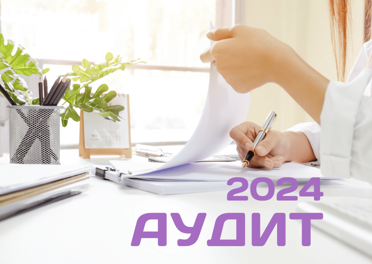 Аудит за 20241775647621