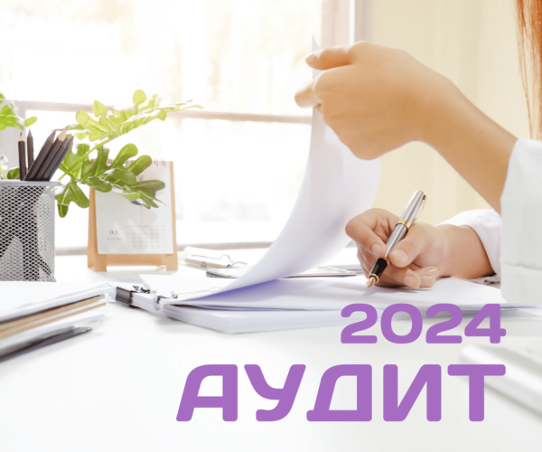 Аудит за 20241775647621