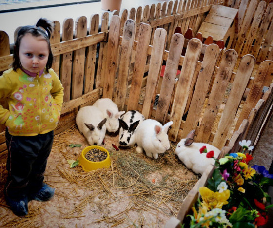 Excursion to the contact zoo for children from the social shelter in Donetsk1622887190