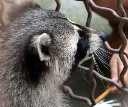 Holiday for orphans1622887464