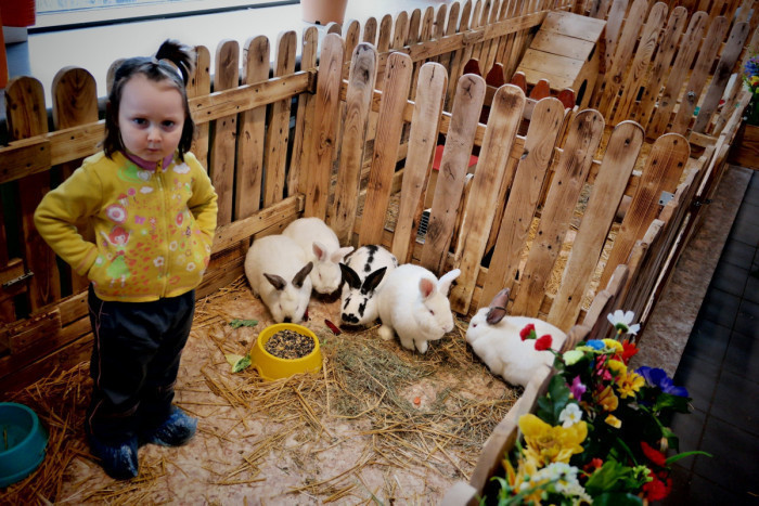 Экскурсия в контактный зоопарк для воспитанников социального приюта г Донецк1588933060
