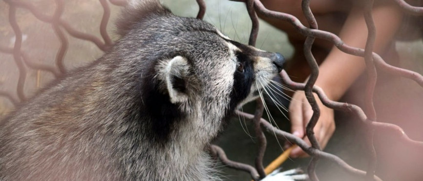 Поездка в зоопарк в Придорожное для детей -сирот1589111703