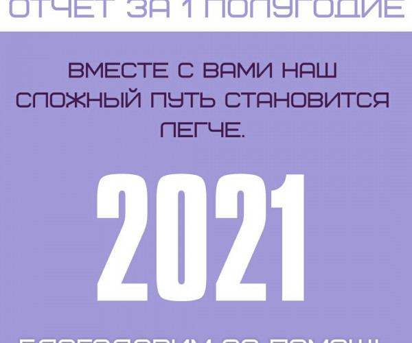 Foundation Report for the first half of 2021 .1628156960