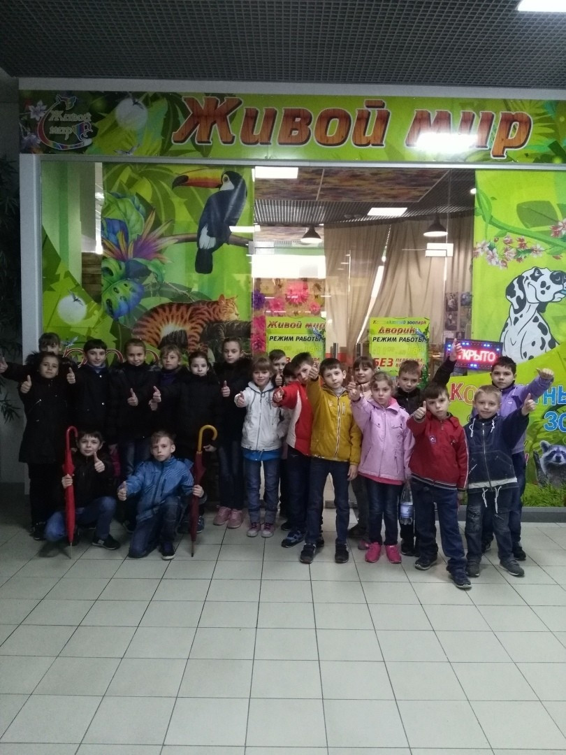 Воспитанники интерната в увлекательном мире контактного зоопарка"Дворик"1589182341